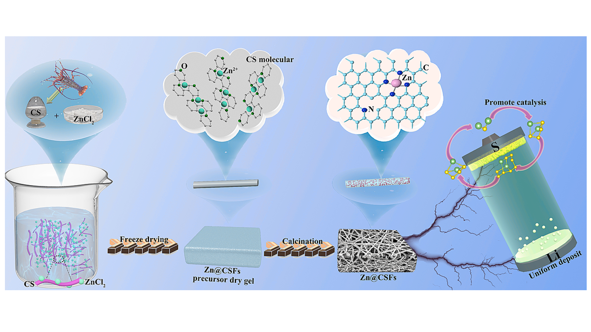 Dual functional Zn doped chitosan fibers restrain the challenge of anode and cathode in lithium-sulfur batteries