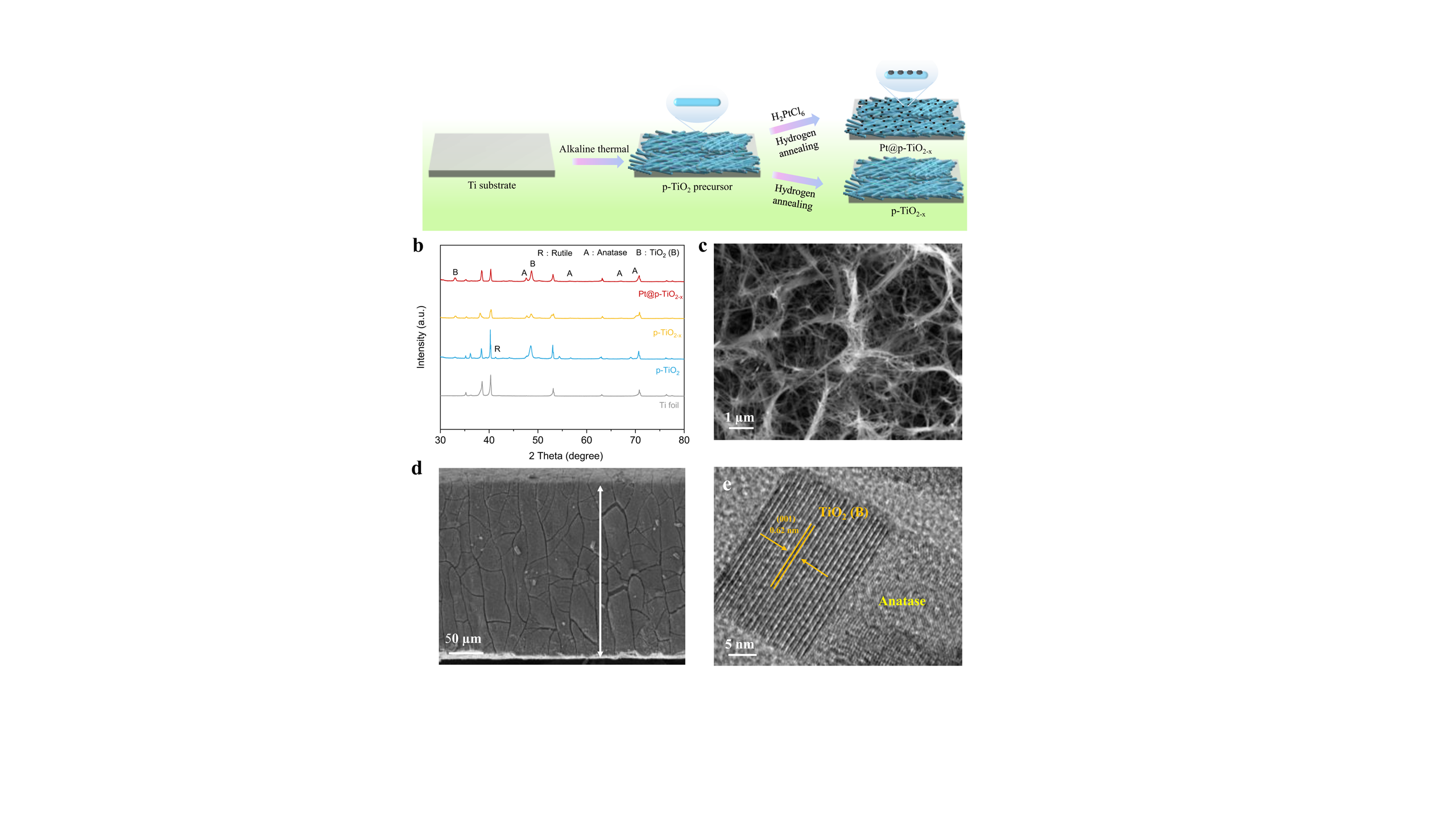 Coupling of oxygen vacancies and an anatase/TiO2&nbsp;(B) phase junction for promoting photocatalytic performance of platinum toward ammonia synthesis